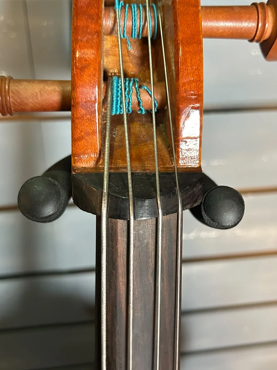 CELLO EAGLE CE 300 na Musicaltec